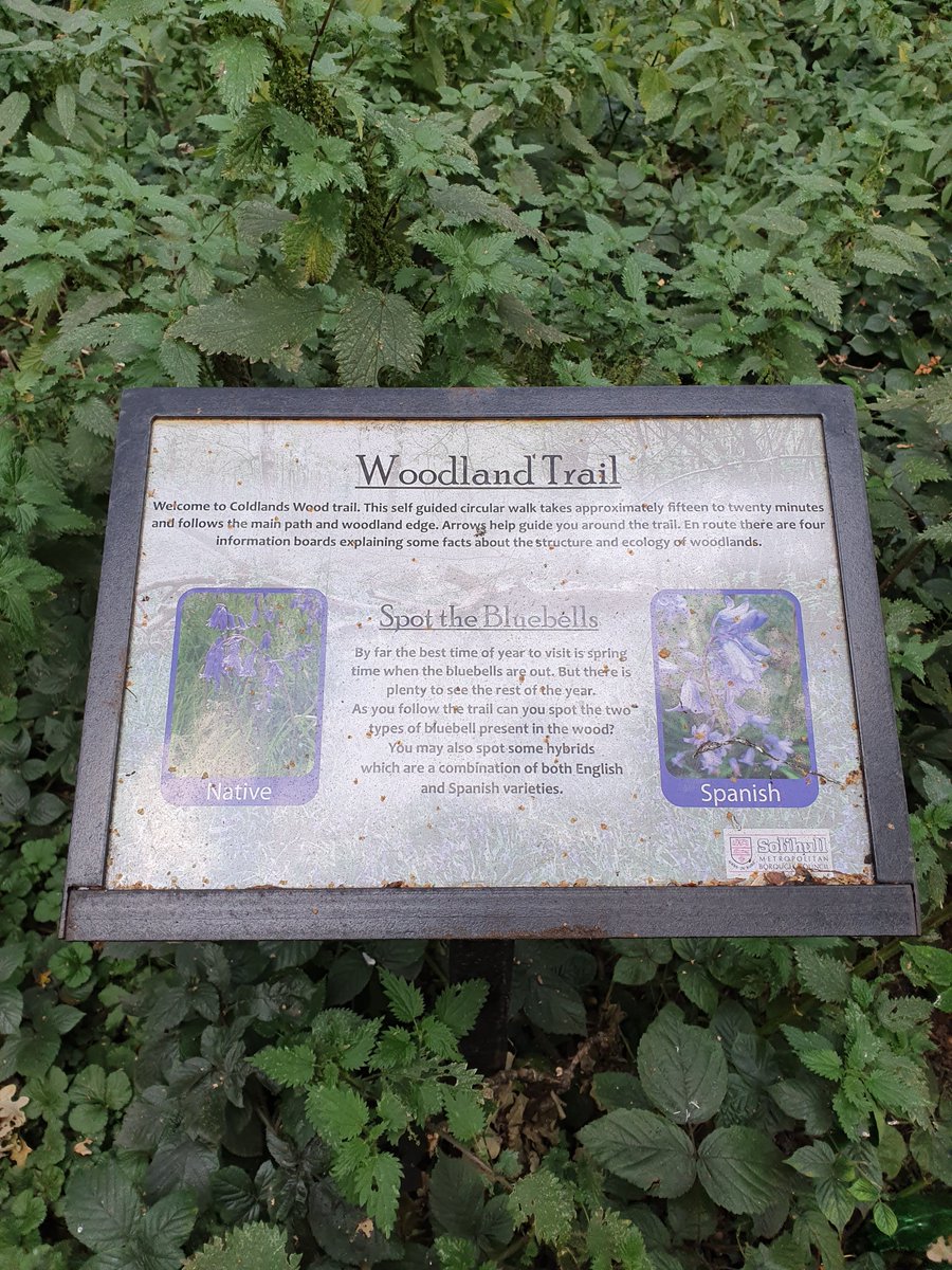 LeosWMP's tweet photo. PCSO Nicky is in Coldlands Woods patrolling. #opguardian #lovemypatch #combattingasb #hiddengem https://t.co/8KSrjh1vVf