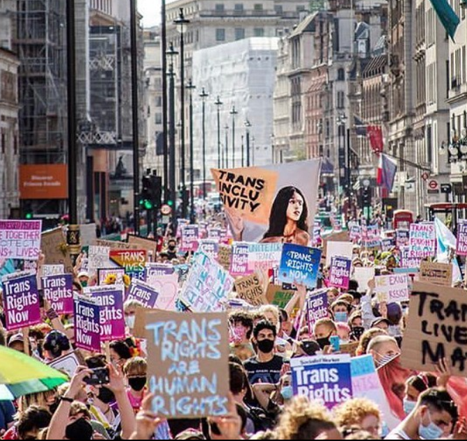 Stonewall tweet media