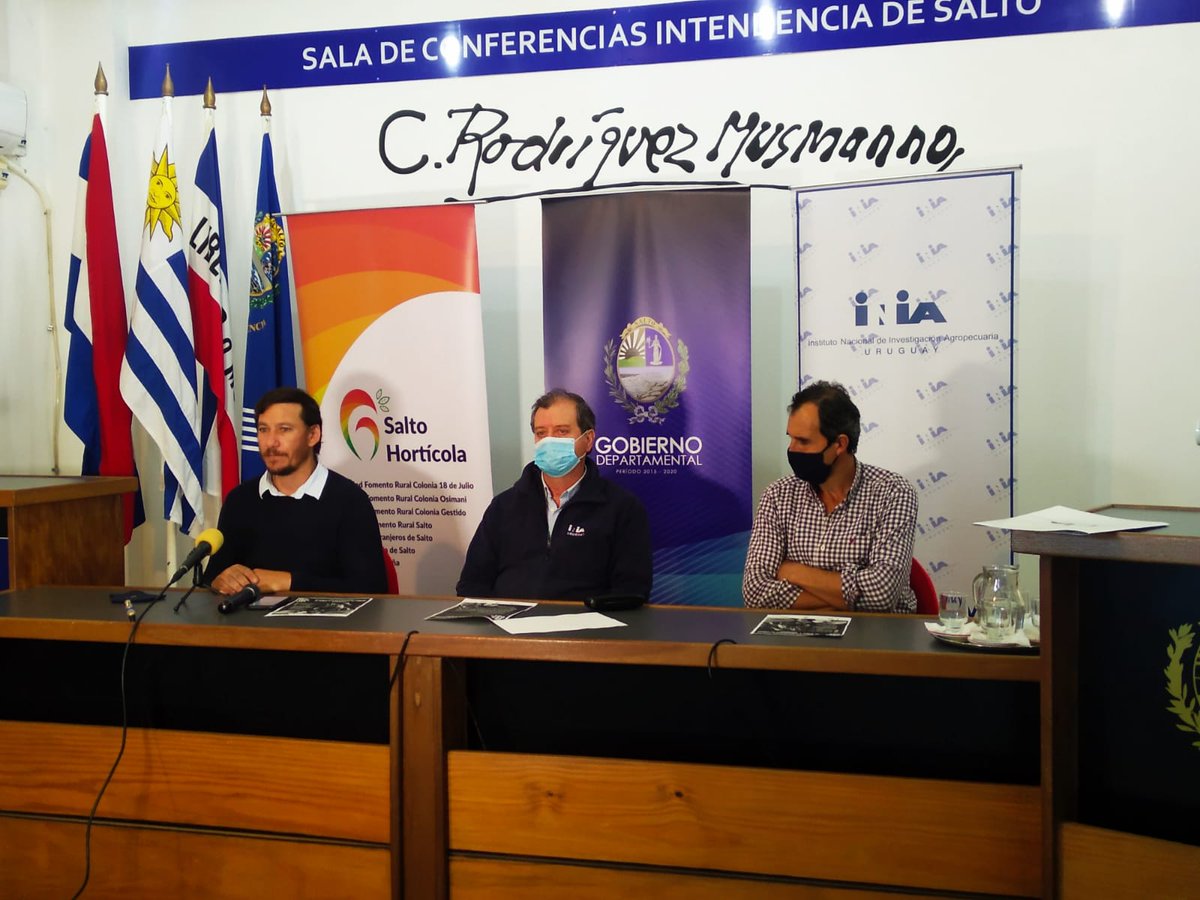 Lanzamiento de la Actividad destacada de INIA sobre Manejo Integrado de Plagas y Enfermedades en cultivos protegidos.
Apoya: Salto Hortícola.
30/09/2020: 18:00 hrs.
Programa: bit.ly/Programa_PVH.
Inscripciones: bit.ly/Inscripcion-PVH .