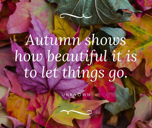 OLBAS_Remedies's tweet photo. "Autumn shows how beautiful it is to let things go." - Unknown #tuesdaythoughts #fallmusings #happyfall https://t.co/A6I2pc66xT