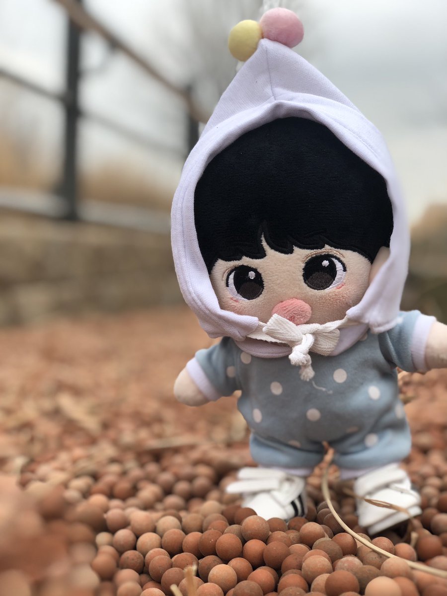 아장아장🐾
나이시 과거사진