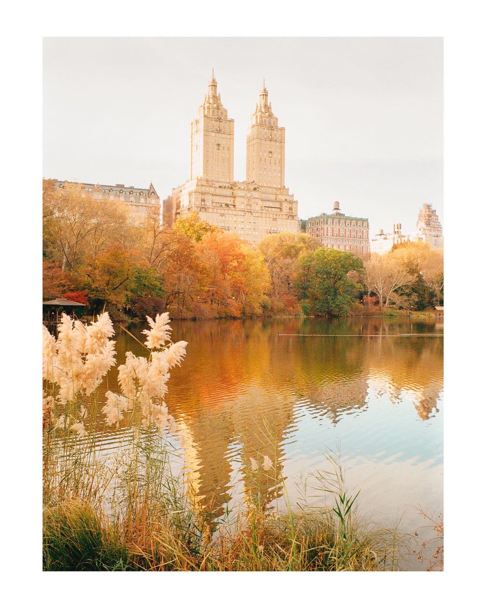 ioegreer's tweet photo. autumn is here xo #leicam6 https://t.co/QuTWeWZH4B