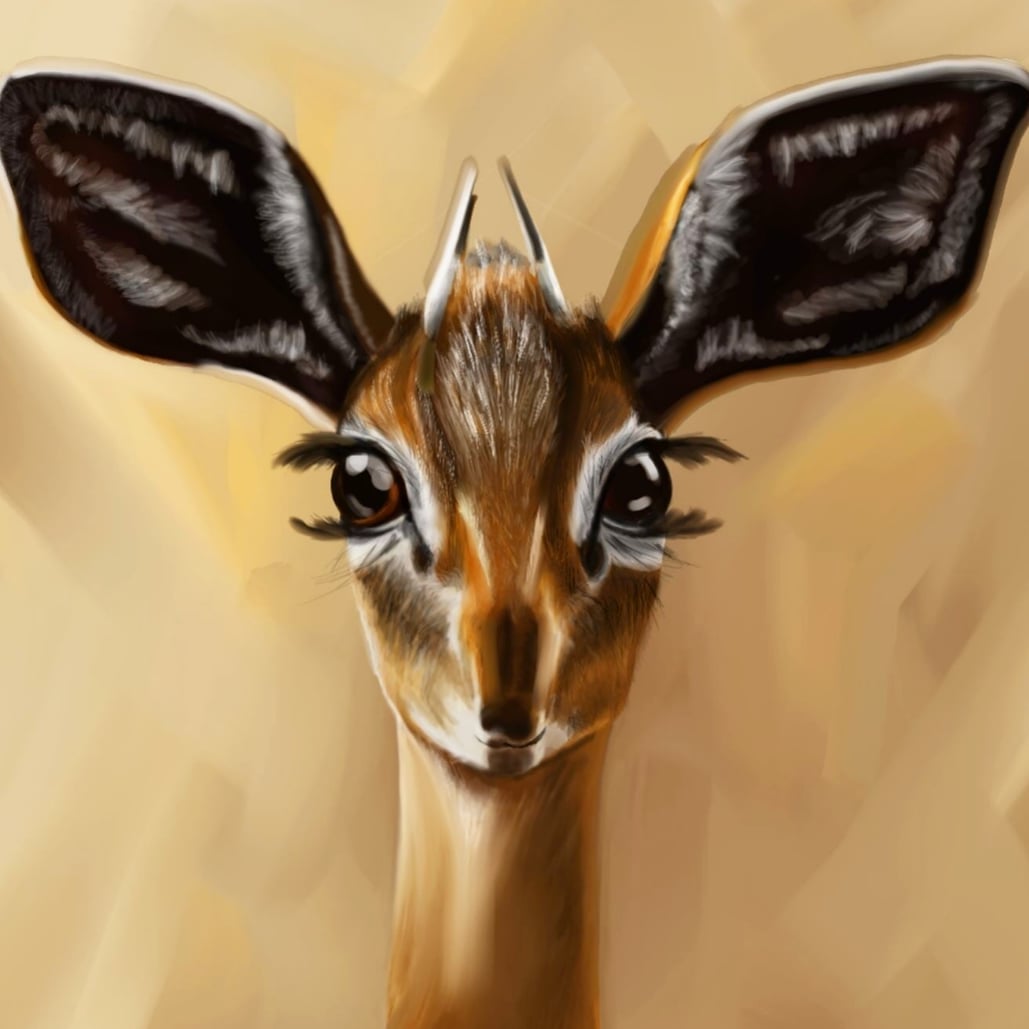 Spent all weekend revamping my Etsy shop.  So much time goes on admin stuff and not enough time to paint etsy.com/uk/shop/ArtKhe… #etsy #etsyshop #artforsale #art #animals #animal #cuteanimals #instaart #artists #artistsontwitter #paintings #paintings #artistlife #canvasprint