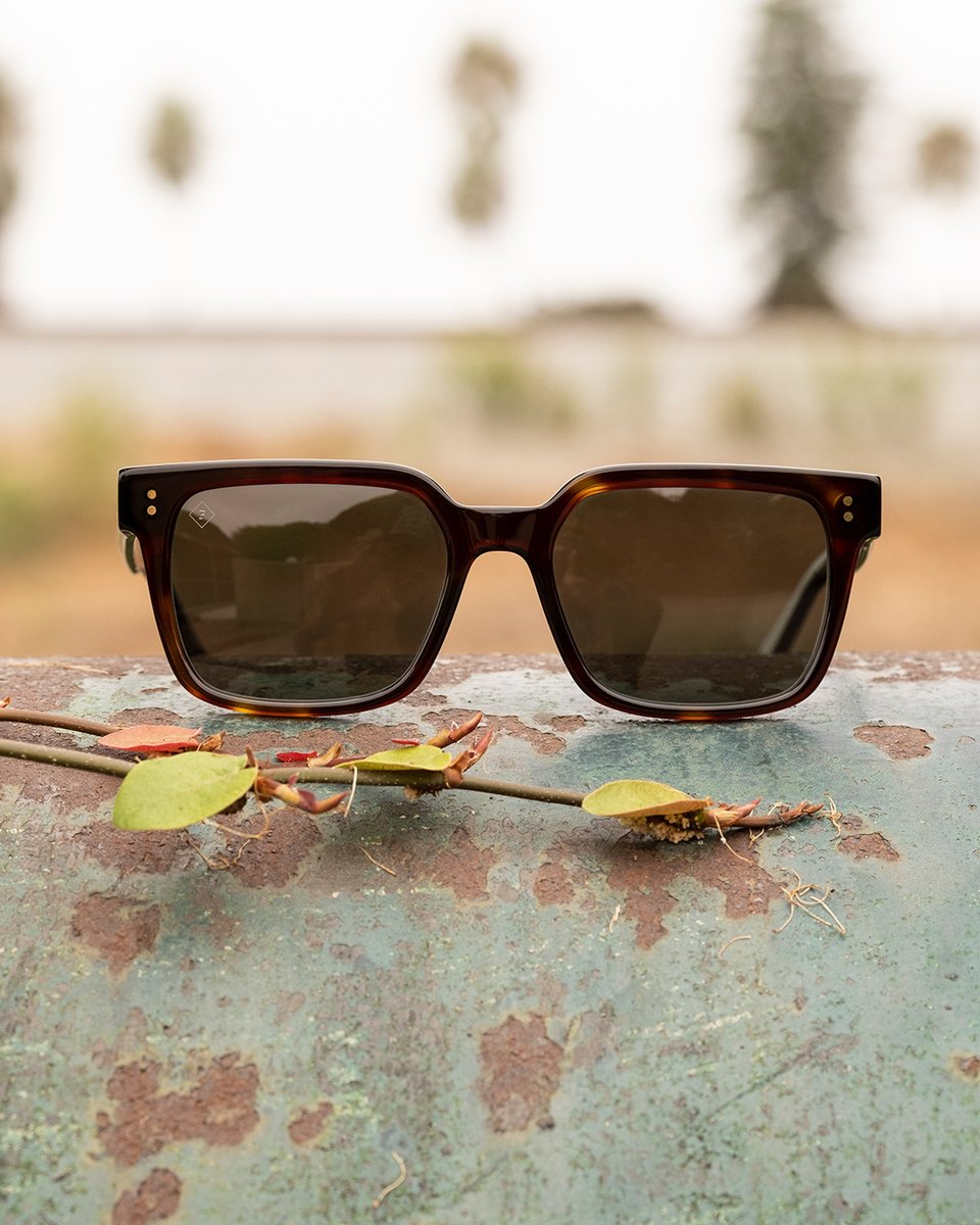 raen_optics's tweet photo. Bring the summer sun with you this fall with West in Kola Tortoise.
—
#RAEN. Inspired by the Classics.
#HandmadeForToday https://t.co/wxWg6P2Nq2