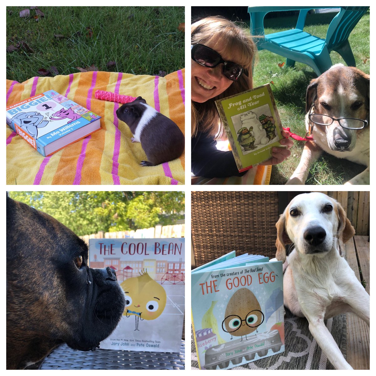 gces_reading's tweet photo. The Reading Team and their pets are enjoying the first day of fall with a good book! What did you read today? @hcpss_gces https://t.co/RJg0eXgXTl