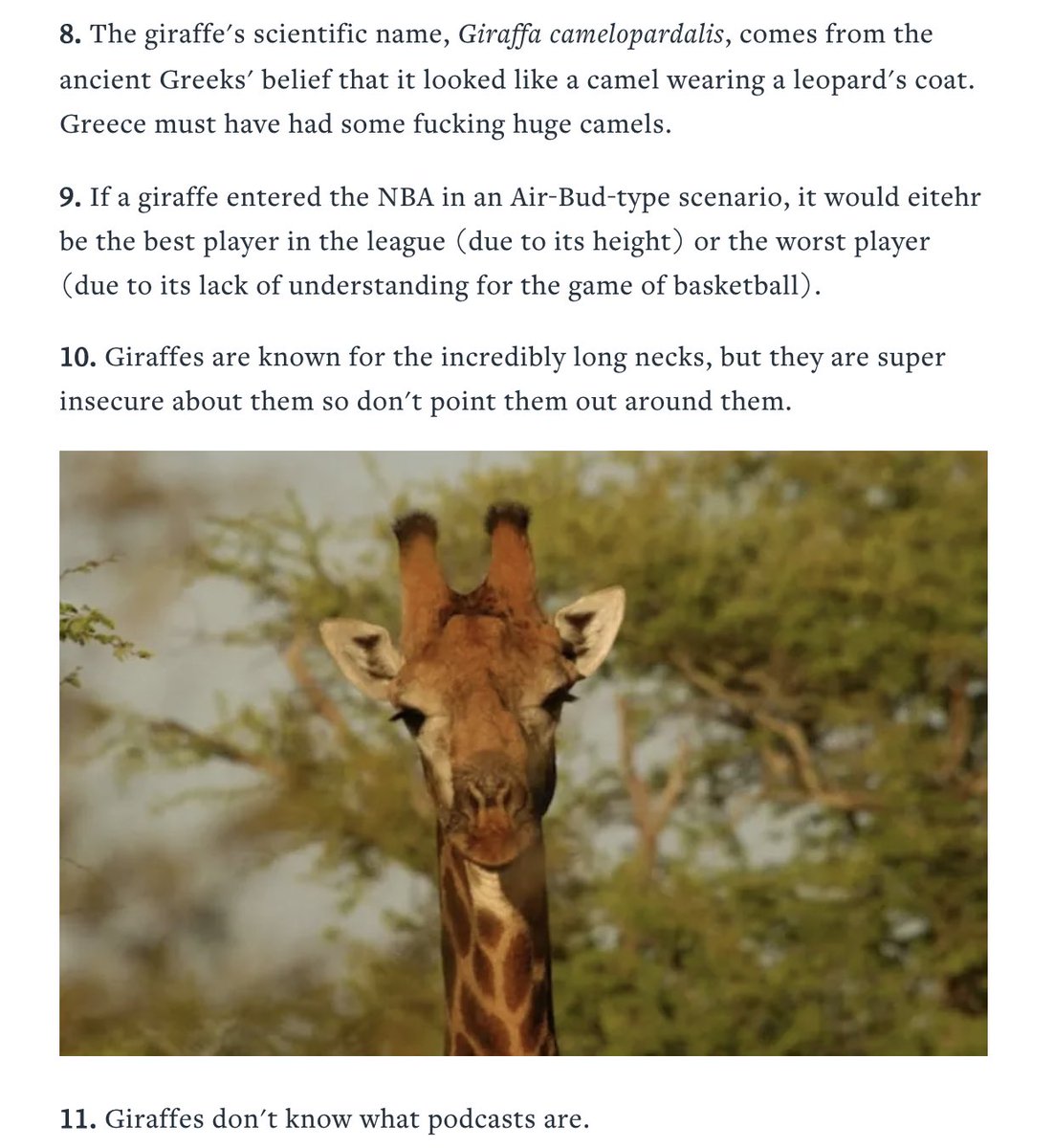fuckmarrywill's tweet photo. learning about giraffes https://t.co/yi0S6HKkLX