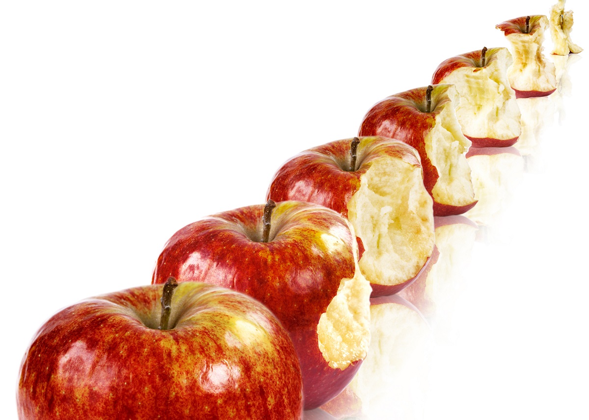 WilandInc's tweet photo. The leaves are changing and, here at Wiland, we’re ready to contribute to the 18 pounds of apples that the average American eats every year! 🍎 Happy #FirstDayofFall. #deliciousdata https://t.co/y2qxaFuvwc