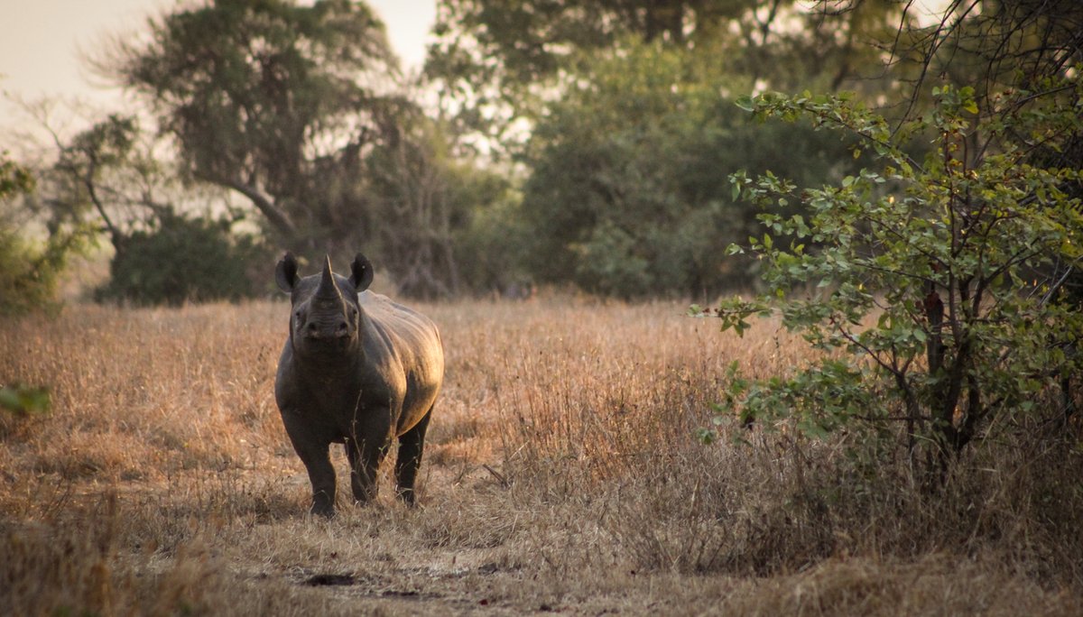 Malawi Travel tweet media