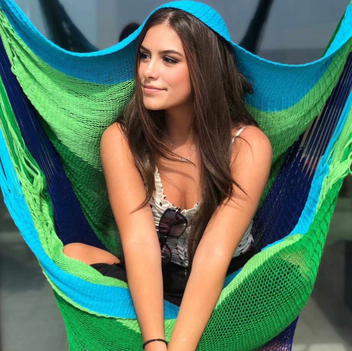 Yellow Leaf Hammocks tweet media