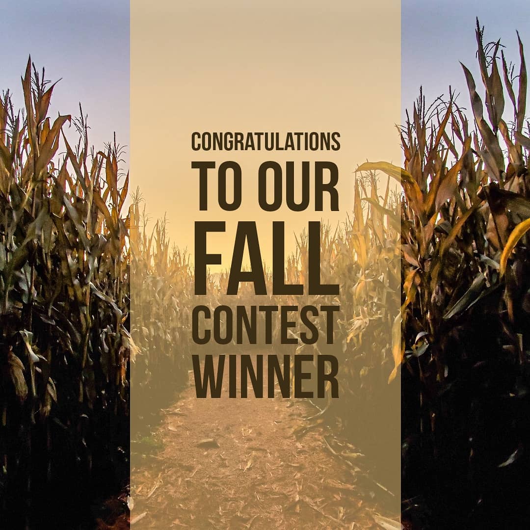 UndividedMag's tweet photo. 🎊 CONGRATULATIONS - KASSIA DANCEY! 🎊 This photo captures all the essences of FALL and is an inspiring start to this beautiful season! Check it out in the link on our bio!

Thank you to everyone who submitted their wonderful works, it was a challenge for us to only pick one❤ https://t.co/bnDtz1qN6y