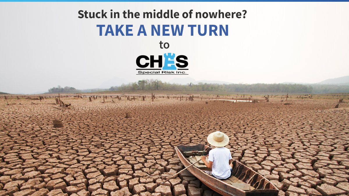 CHESSpecialRisk's tweet image. Our seasoned underwriters offer market leading, custom-made insurances with specialist coverages at competitive packages. 

#CHESSpecialRisk #Insurance #InsuranceCovers #InsuranceSolutions #InsuranceCoverage  #InsuranceSolutions