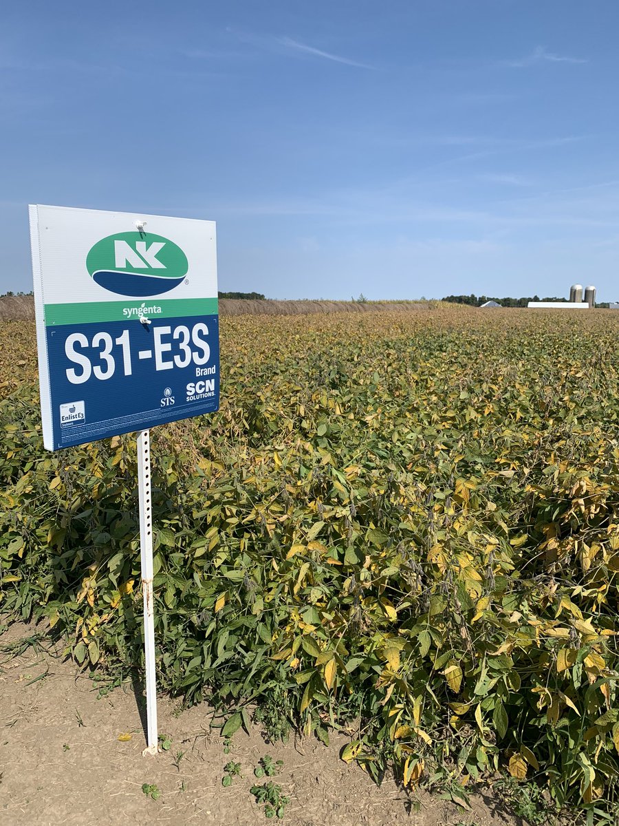 🇺🇸Corey Stevens🌽 tweet media