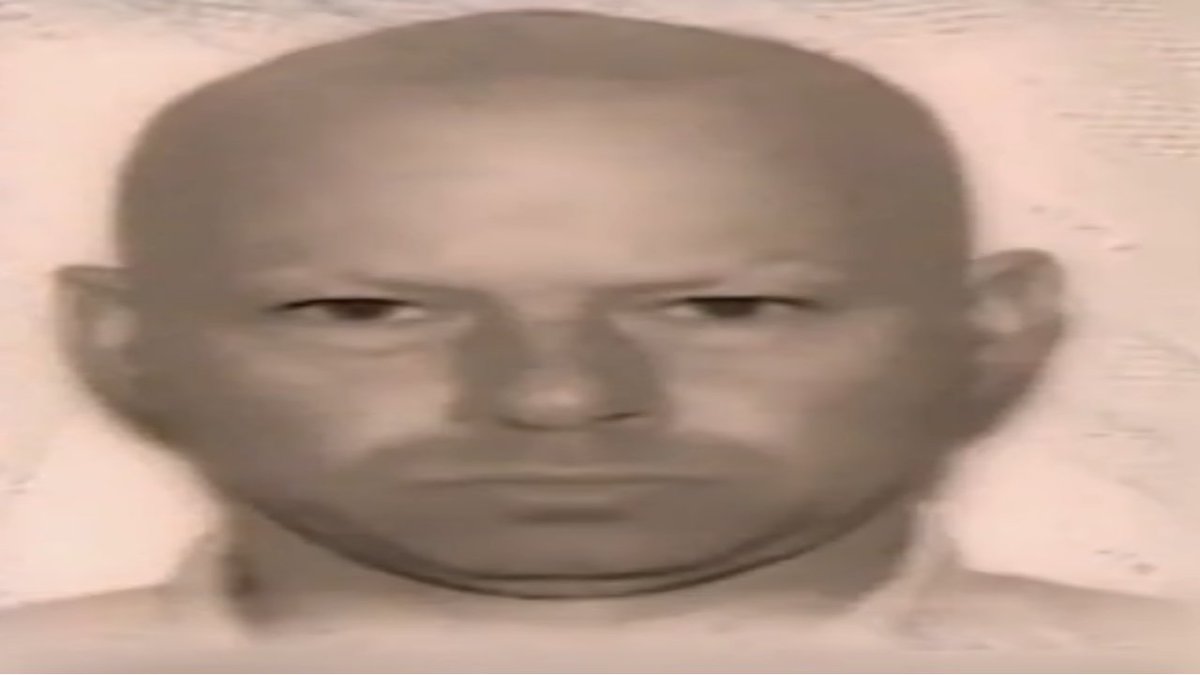 impractical jokers murr eyebrows impractical jokers murr eyebrows