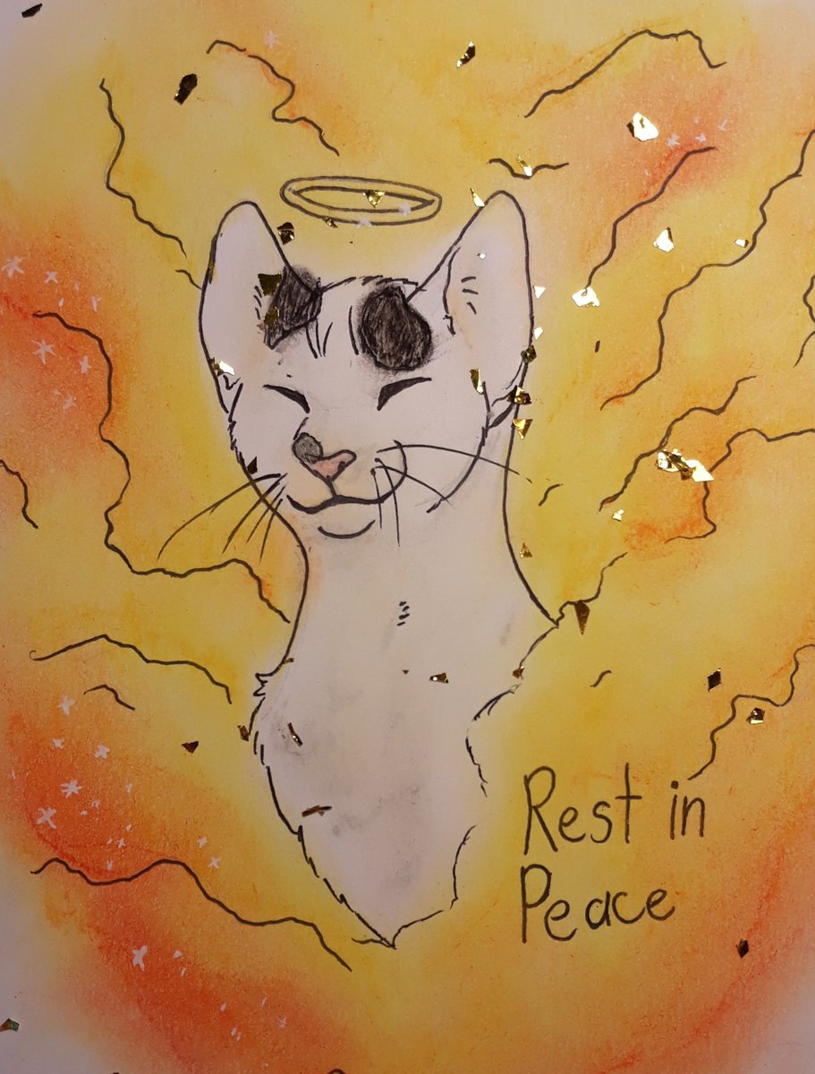 AllisonDriver6's tweet photo. A gift for @IAm8BitRyan I'm so sorry for your loss, I know how it feels to lose a pet that was more than just a companion or friend. Stay strong💙 https://t.co/6YRd5Wckmp