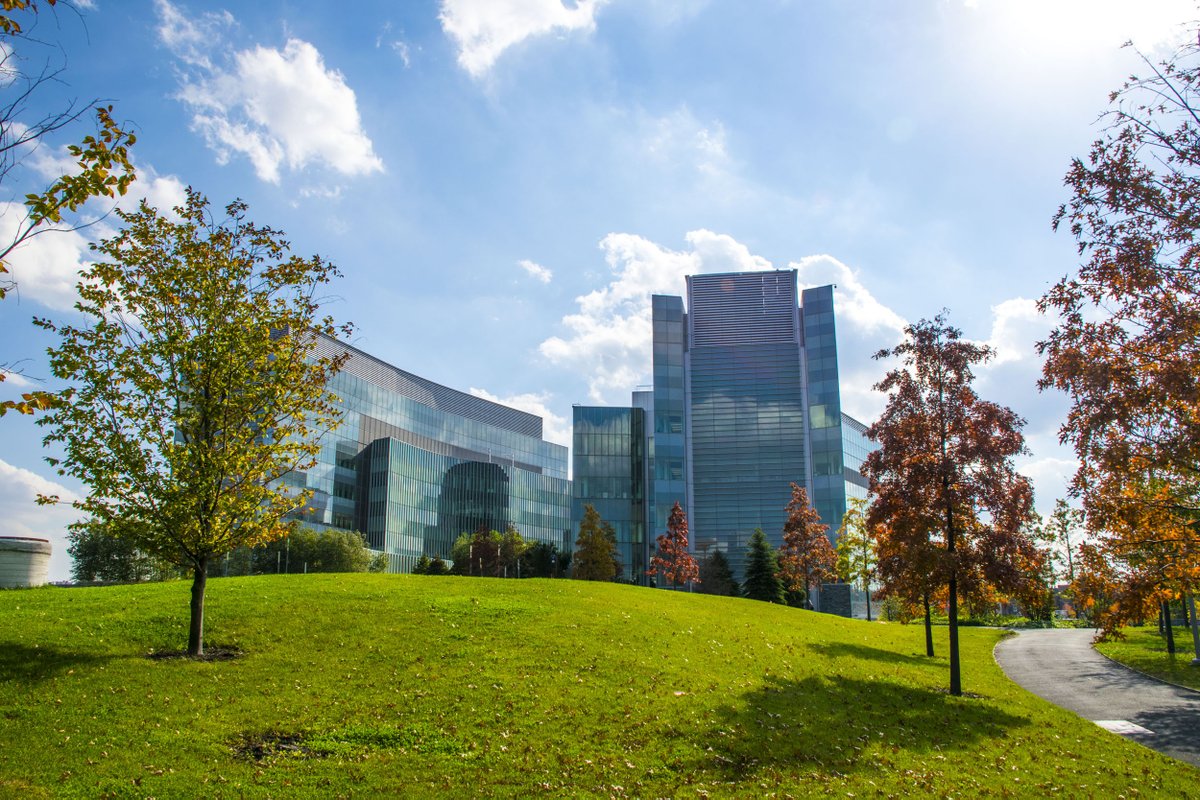 It's official: Fall is here. The forecast is for beautiful colors and cozy temps for studying. Happy #FirstDayofFall to all!