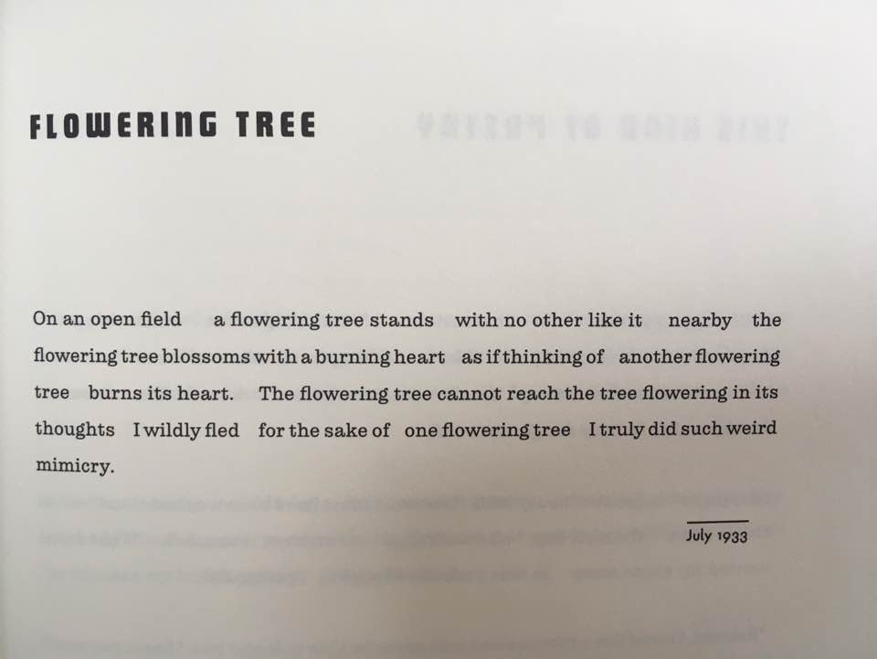 “Art’s erotic likenesses. The immobility of the tree is radiant; the tree is as much flaring as flowering and it drives the speaker to Art, the ‘weird mimicry,’ rare replications, the ultimate place...one guesses that he, too, is radiantly immobilized in fire like the tree.” 5/19