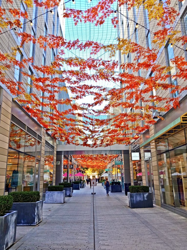 diplowonk's tweet image. did someone say FALL?!

happy Autumn Equinox! who's joining me for a stroll to enjoy the colors on the wind? 🌬️🍂🍁

#layeringseason #cardigan