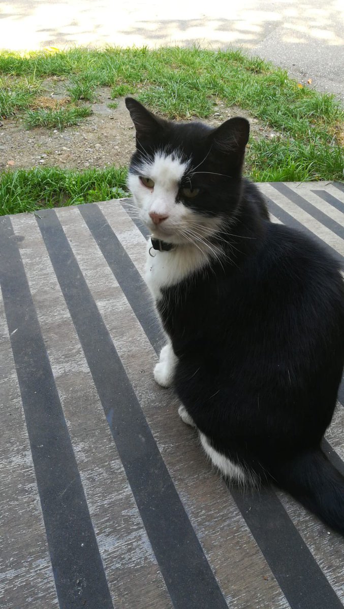 Sunnyside Gardens UK tweet media