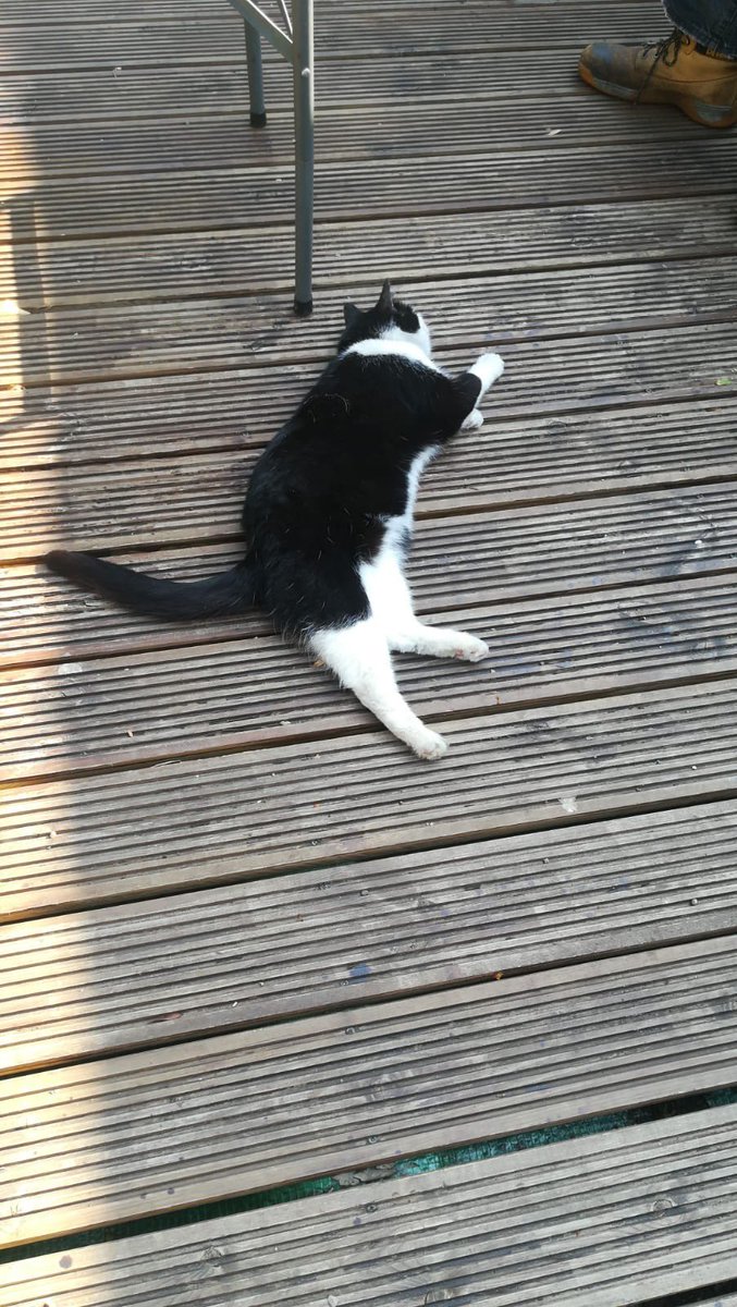 Sunnyside Gardens UK tweet media