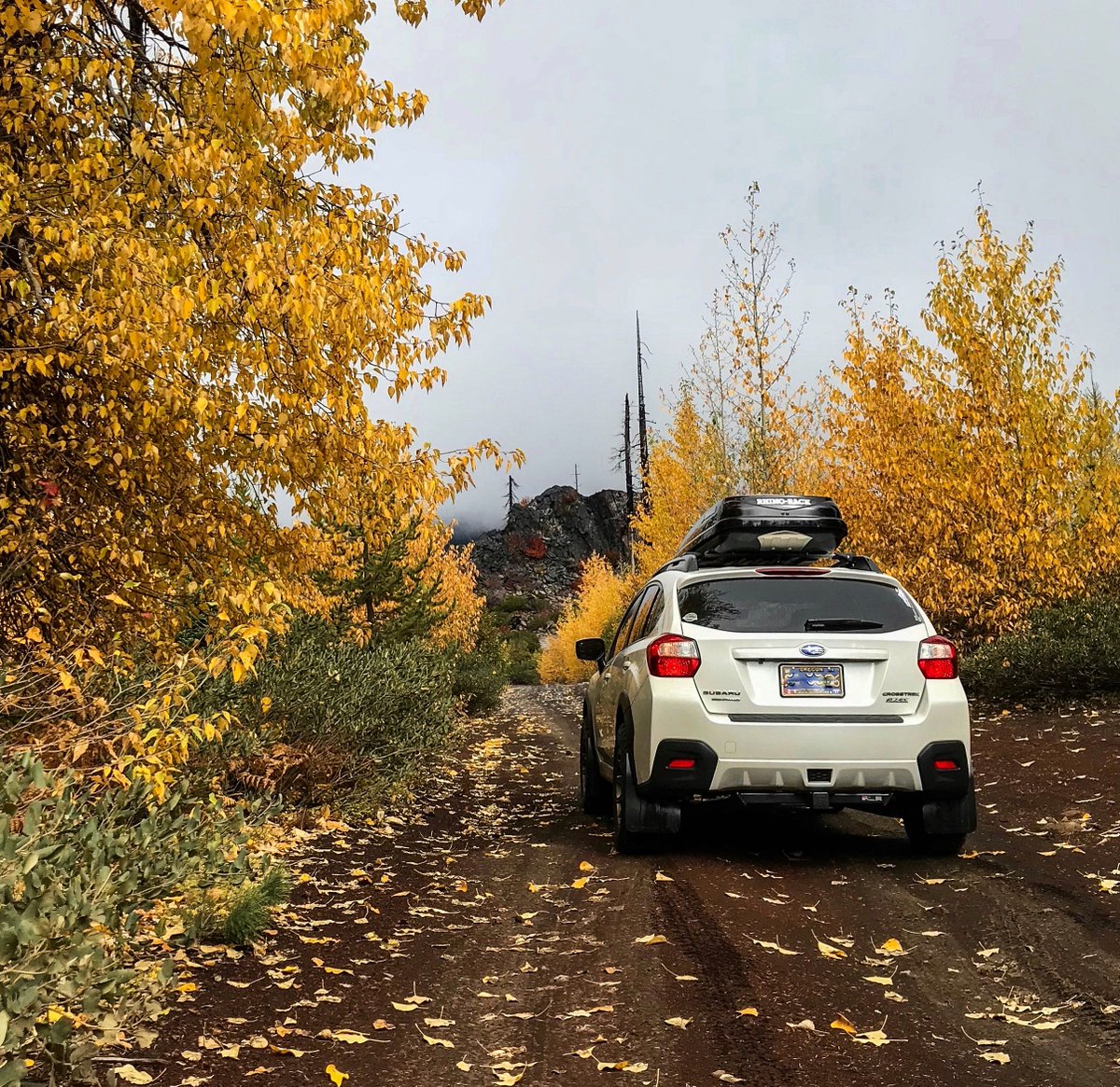 subaru_usa's tweet photo. Brb, we're on our way to the pumpkin patch 🎃!! For the #FirstDayOfFall, comment your favorite shots of your Subaru adventuring in the Autumn season. 🍂🍁🍂🍁 (📸: Sarah Tuttle) https://t.co/0BUopmFPTd
