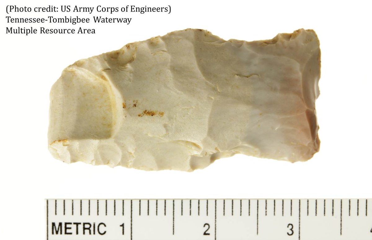 archaeology_aia's tweet photo. This point processed by the #VeteransCurationProgram exhibits an impact fracture. Years ago this point sailed through the air and struck something. The hit caused a flake to be driven backwards from the tip, resulting in this distinct damage. #IADVCPArtifact #IAD2020 @USACEMobile https://t.co/rBiaZnQK7A
