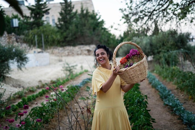 skyeatlas's tweet photo. 🍉🥕 Excited to launch our Seed Stewardship programme - exploring the saving of seeds, stories and the remaking of agricultural ecologies-with Vivien Sansour of the Palestine Heirloom Seed Library, artist &amp; filmmaker Jumana Manna, local collaborations, and a seed saving library. https://t.co/99QX8kjnwd
