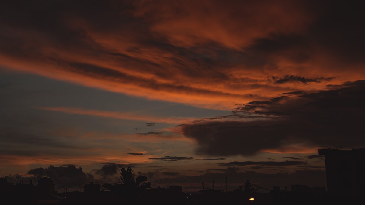 Edouard TAMBA tweet media