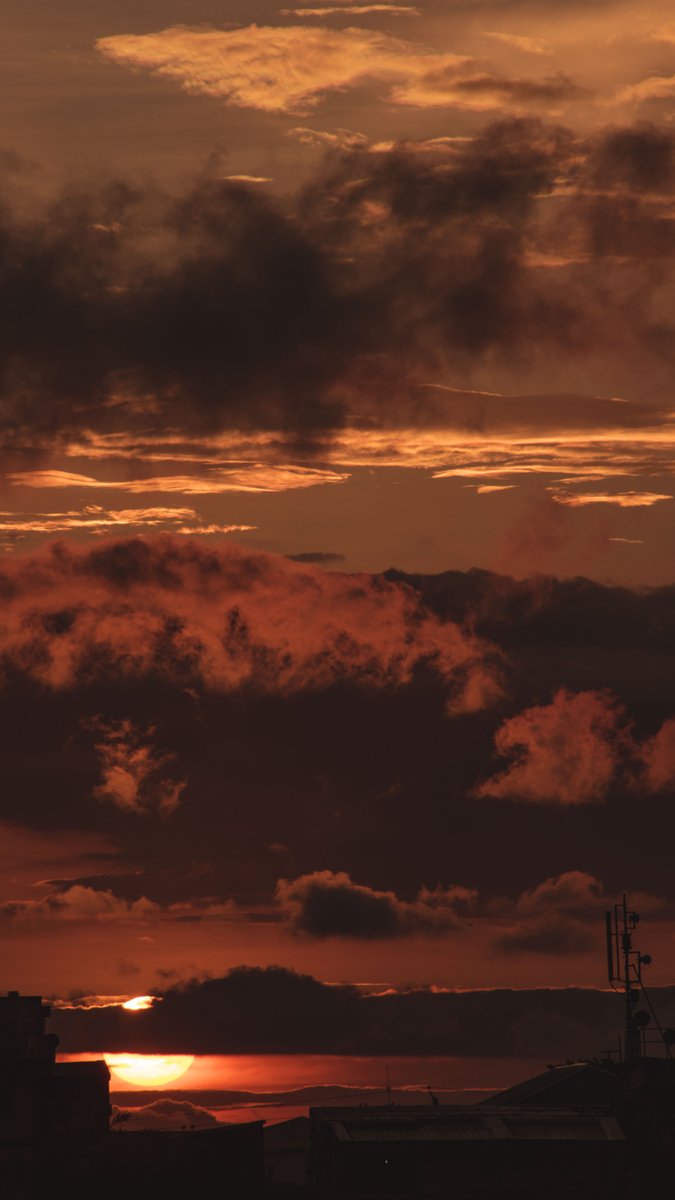 Edouard TAMBA tweet media