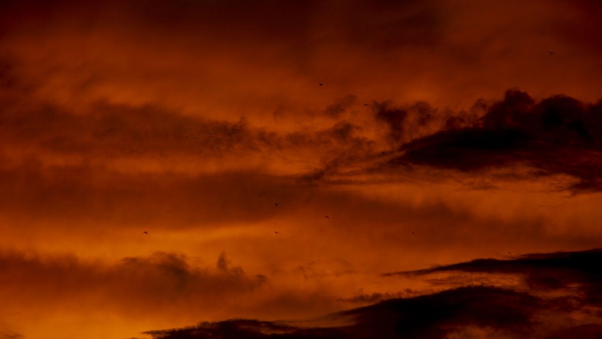 Edouard TAMBA tweet media