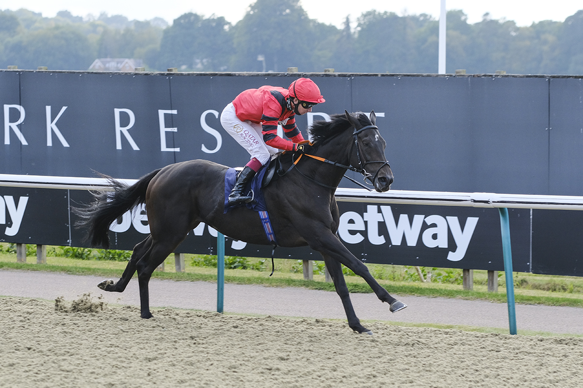 LingfieldPark's tweet image. Race 6 Result - Heed Your Hunch At Betway Handicap

🥇 Casa Comigo 3-1
🥈 Beholden1-4F
🥉 Rydan 10-1

Jockey: @oismurphy 

Trainer: @johnbestracing 

Owner: Simon Malcolm