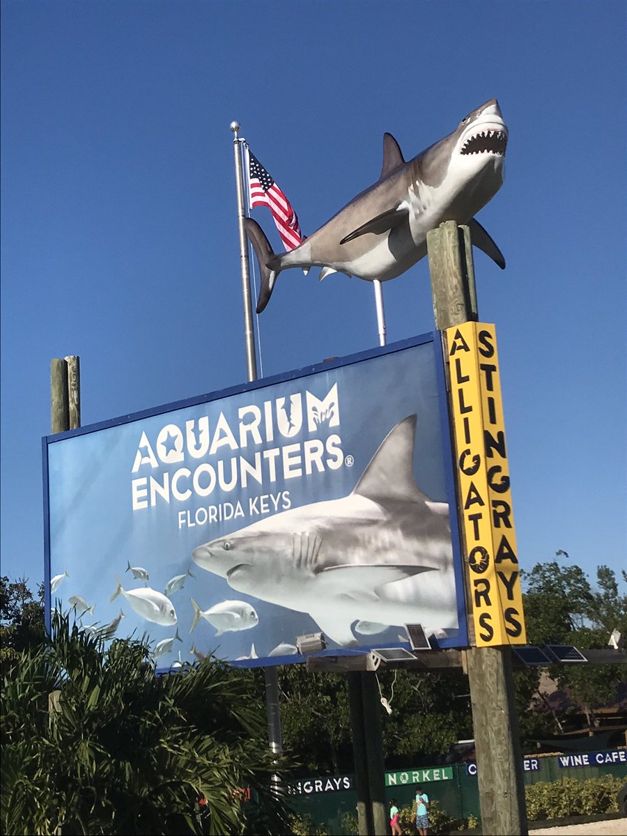 FLKeysAE's tweet image. Look for our sign if you’re driving through the Florida Keys!! 🦈