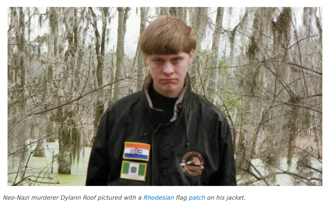 With his valorization of Rhodesia, Biggs puts himself in the company of neo-Nazis such as deceased leader of the now-defunct Northwest Front Harold Covington and mass murderer Dylann Roof  https://rosecityantifa.org/articles/joel-flake/#dylann-roof  https://twitter.com/RoseCityAntifa/status/1308468767056252928