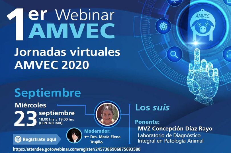 AcAmvec's tweet image. No te pierdas el día de mañana nuestro webinar "Los suis"
Ponente: MVZ Concepción Díaz Rayo 
18:00-19:00hrs (CENTRO MX)
Regístrate en: register.gotowebinar.com/regi.../245738…
Te esperamos!!!