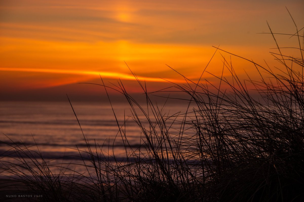 Nasbastos77's tweet photo. #PraiadaBarra 
#ilhavo #sol #pordosol #sunset #coucherdusoleil #soleil #sun #portugal  #aveirolovers #photography #photographie #nikon #nikonphotography #praia #plage #beach #summer #mar #mer #paisagem #pordosolperfeito #naturelovers #sea #landscape #goldenhour #nb https://t.co/fFQxZ1GxJV