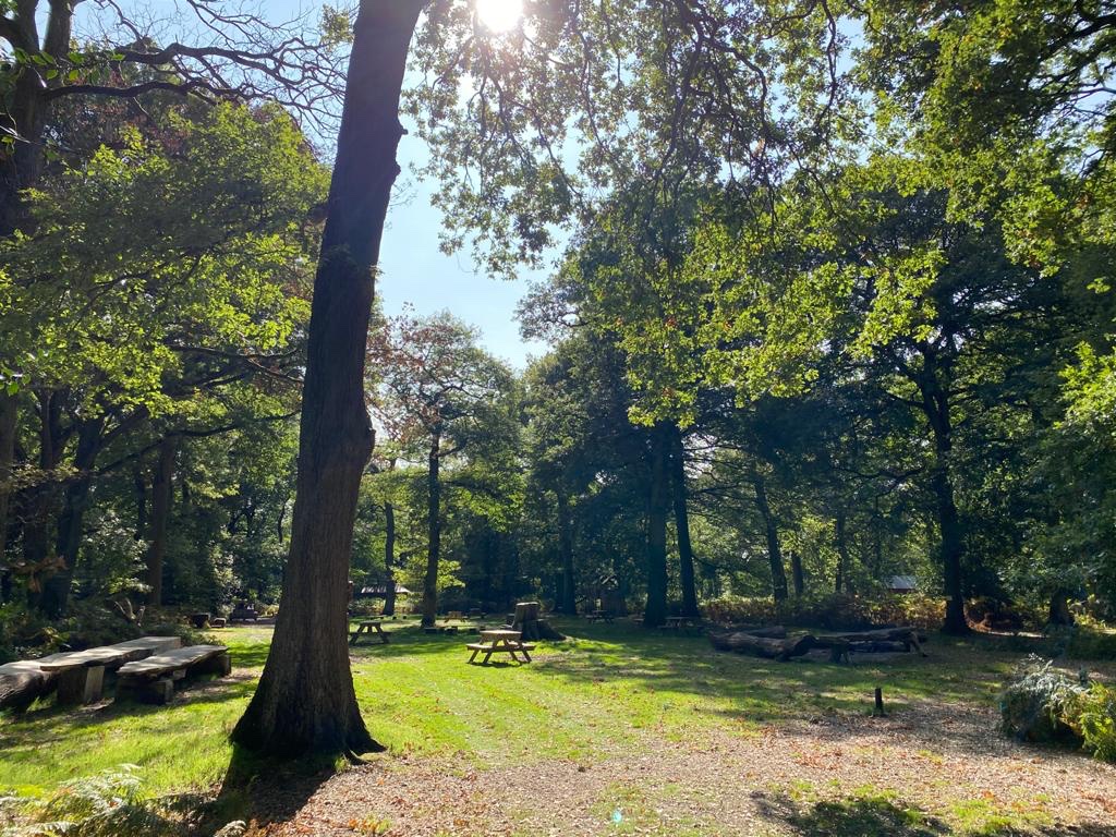 We are open again for General #Park Admission and #Camping this weekend and will be every weekend in the run up to October half term when we will be open daily. #SolihullHour