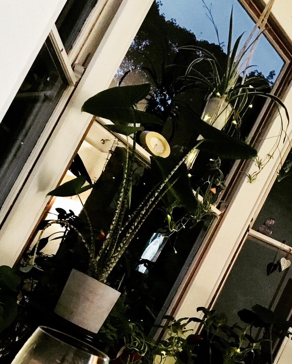 ❤️ my #bayatnumber55