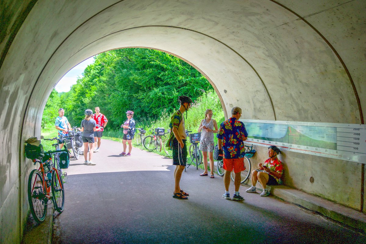 GAP Trail tweet media