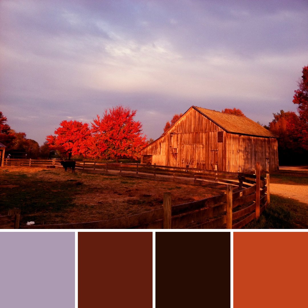 Accokeek's tweet photo. We're a bit late to the game, but inspired by the first day of fall, here are the @PiscatawayPark autumn colors for 2020 #NPSColorForecasting #npsfw #findyourpark #Fall2020 https://t.co/l58HDiy2BS