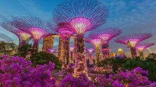 alexomode's tweet image. Familiar Things  |  Dramatic, Cinematic Music
[ youtu.be/0S4tqIpKlAI ]