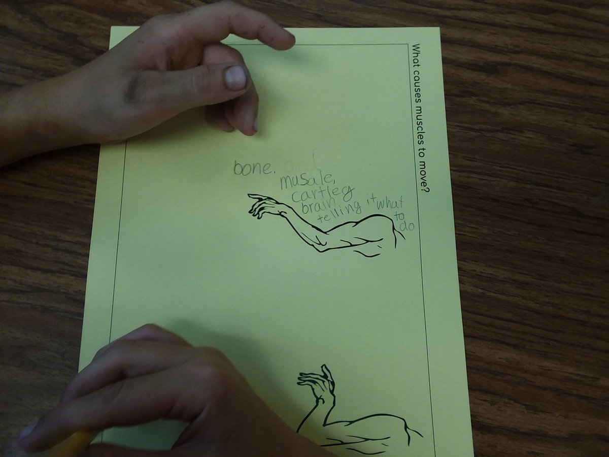 Mr. Evans tweet media