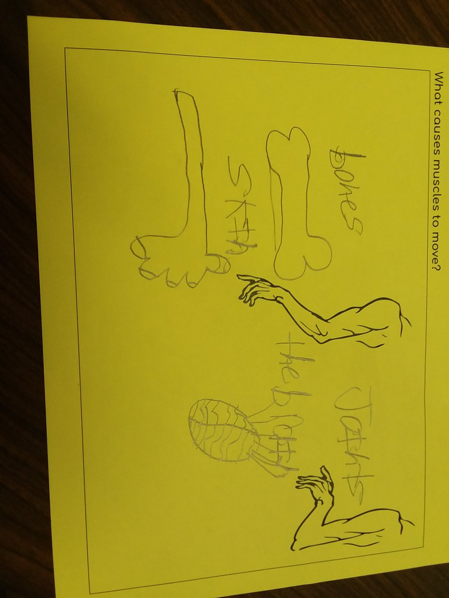 Mr. Evans tweet media