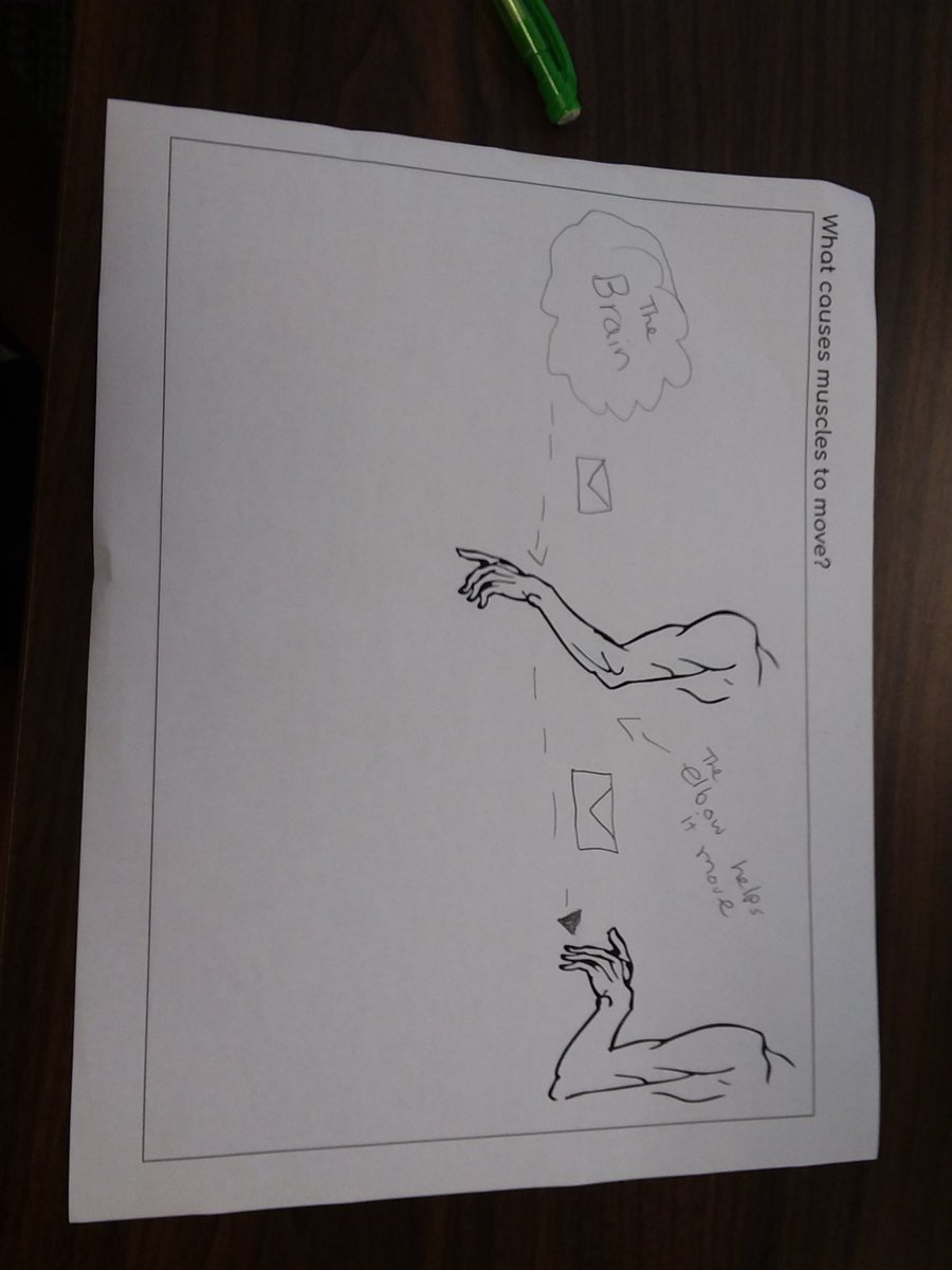 Mr. Evans tweet media