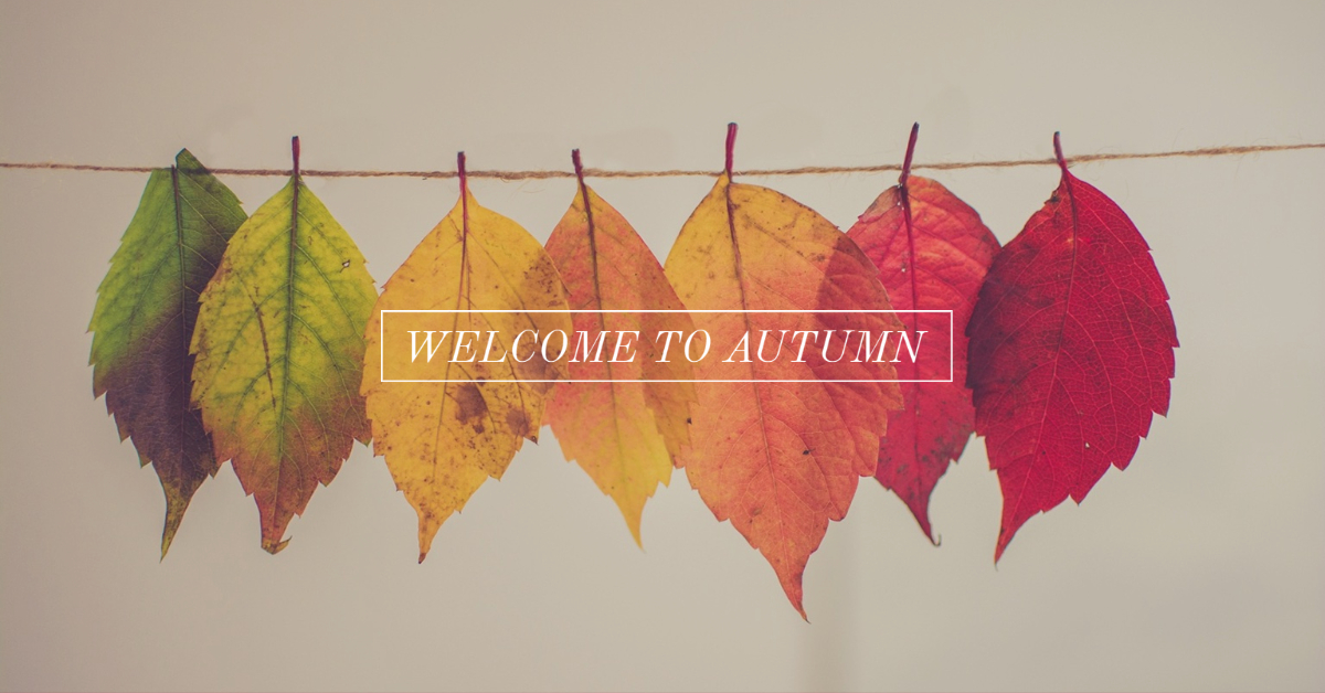 MyTeamRedDog's tweet photo. Despite some lingering smoky skies and this uncertain time, today we welcome the change of a new season. 

“If a year was tucked inside of a clock, then autumn would be the magic hour." -Victoria Erickson
 
What do you enjoy most about Autumn?
#FirstDayofFall #AutumnAwaits https://t.co/fDjRwNMjyF