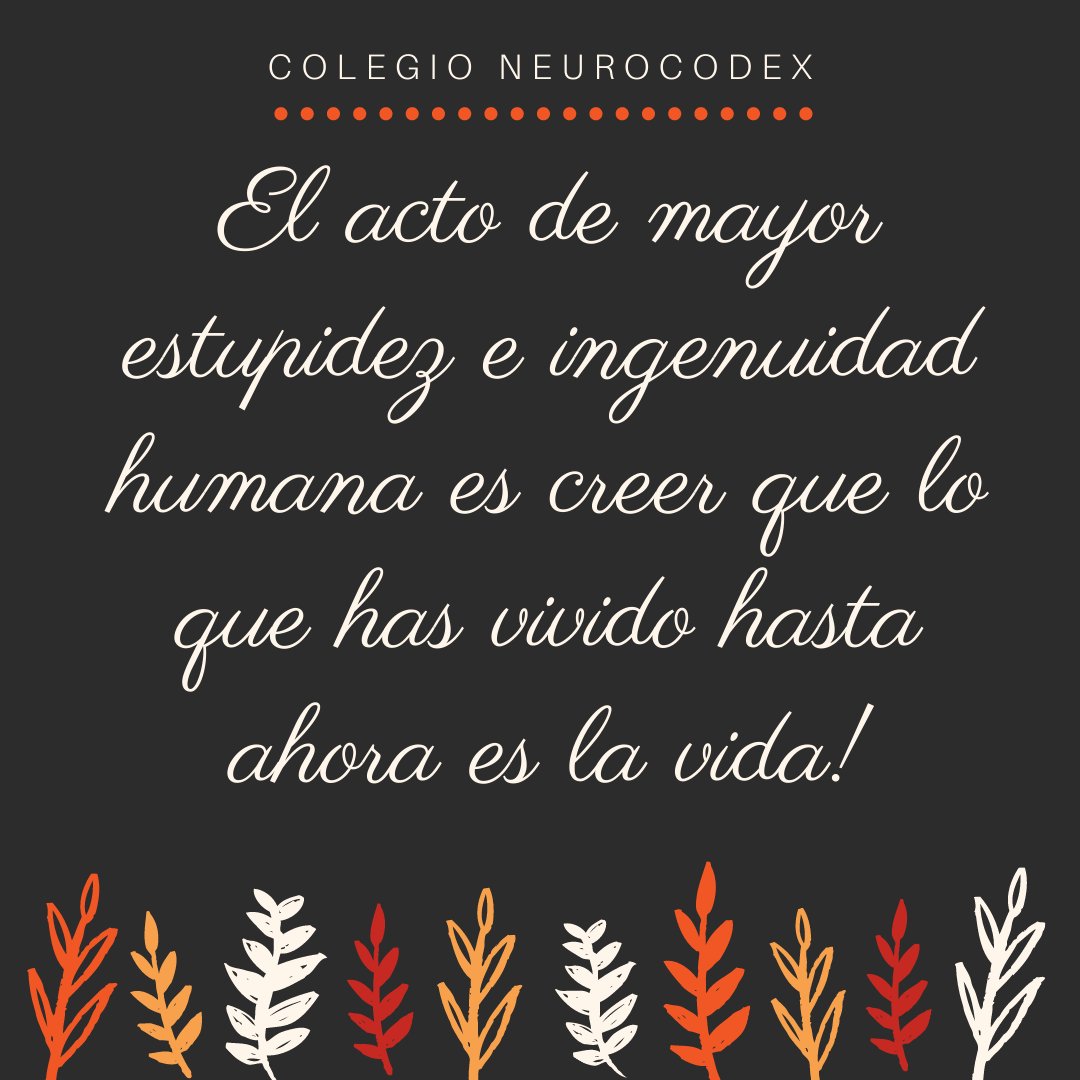 cube_sales's tweet photo. Cuanta verdad... la vida es lo que vamos siendo y creando, no lo que hemos vivido.. Grande #Neurocodex https://t.co/Q5zOogfPkK