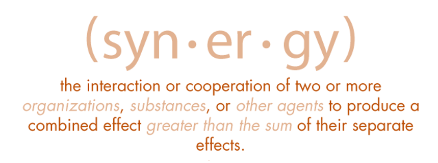 Did you know Synergy is one of the most important objectives in business? Acquiring synergy between departments, partners, etc. will result in more efficiency, more efficacy &amp; higher profitability.