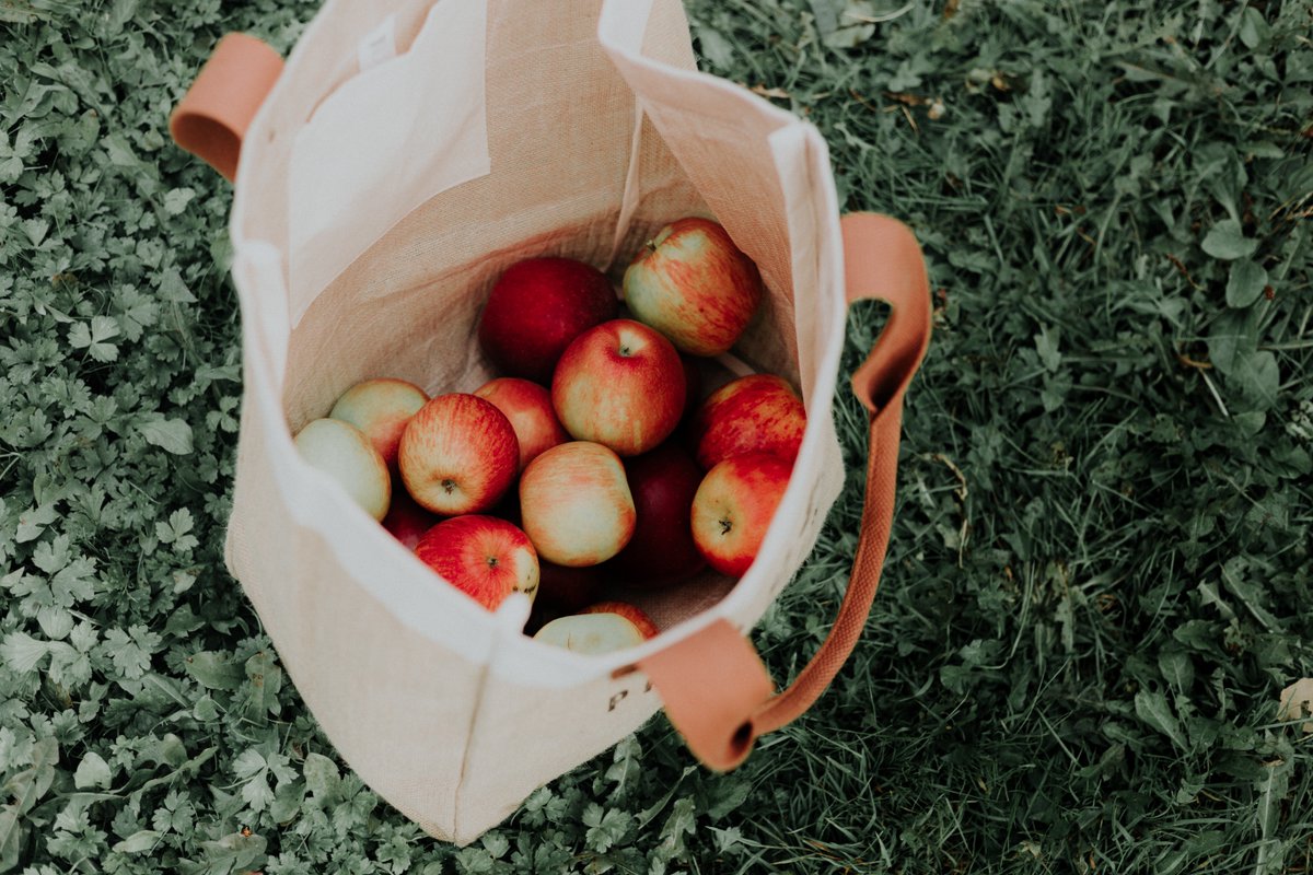  Apple picking We can't think of a better (or tastier!) socially-distanced outing. Put on your flannel, search for your nearest orchard, and get to picking! Send us a pie, please 