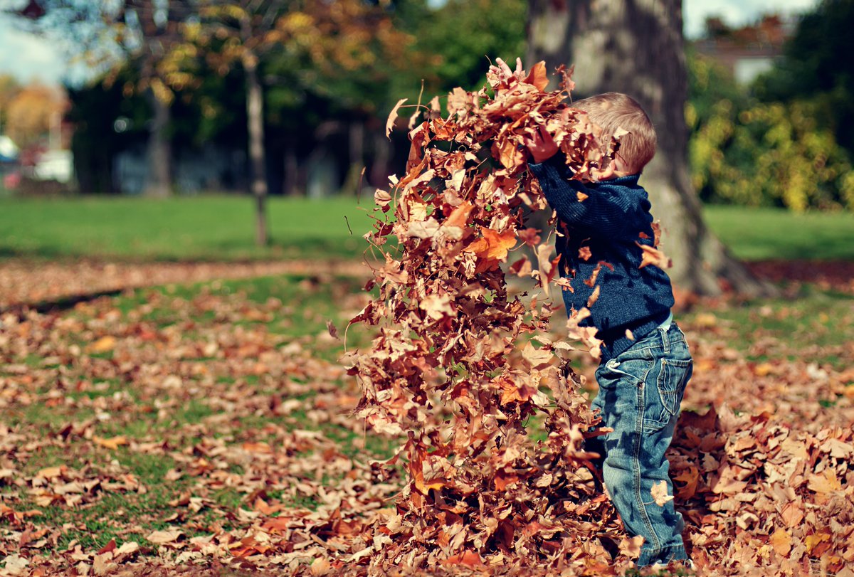  Raking leaves We firmly believe you're never too old to jump in a pile of leaves! Plus, it's a reward for cleaning up the yard.