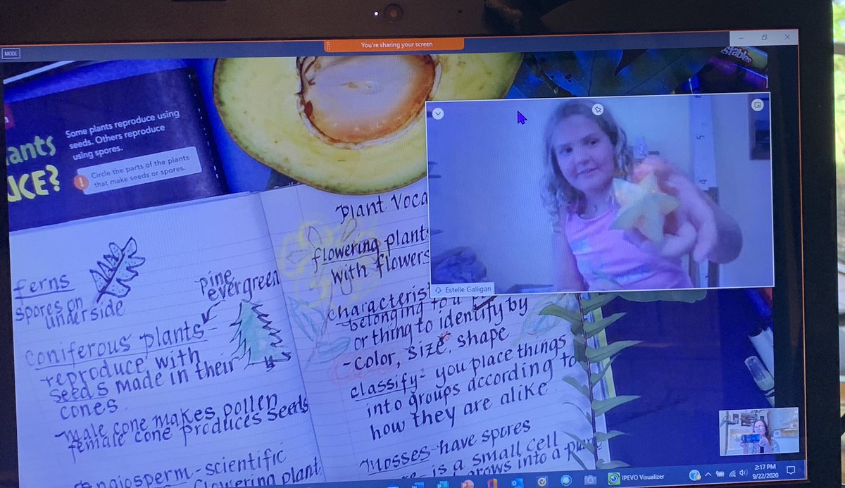 LoerzelA's tweet photo. 🌲🌿Plant Classification Goes Virtual @eCollierAcademy 
🌱Students Engaged   
🌼Scientific Vocabulary
Epiphytes-Angiosperms-Coniferous- Characteristics
🥑Sharing backyard favorites 🥥Homework-go discover!🥭
@collierschools #ccpsproud @CCPSEdChannel https://t.co/Ul6qoSkJru