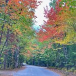 Photo by Tara Schatz (@backroadramblrs)