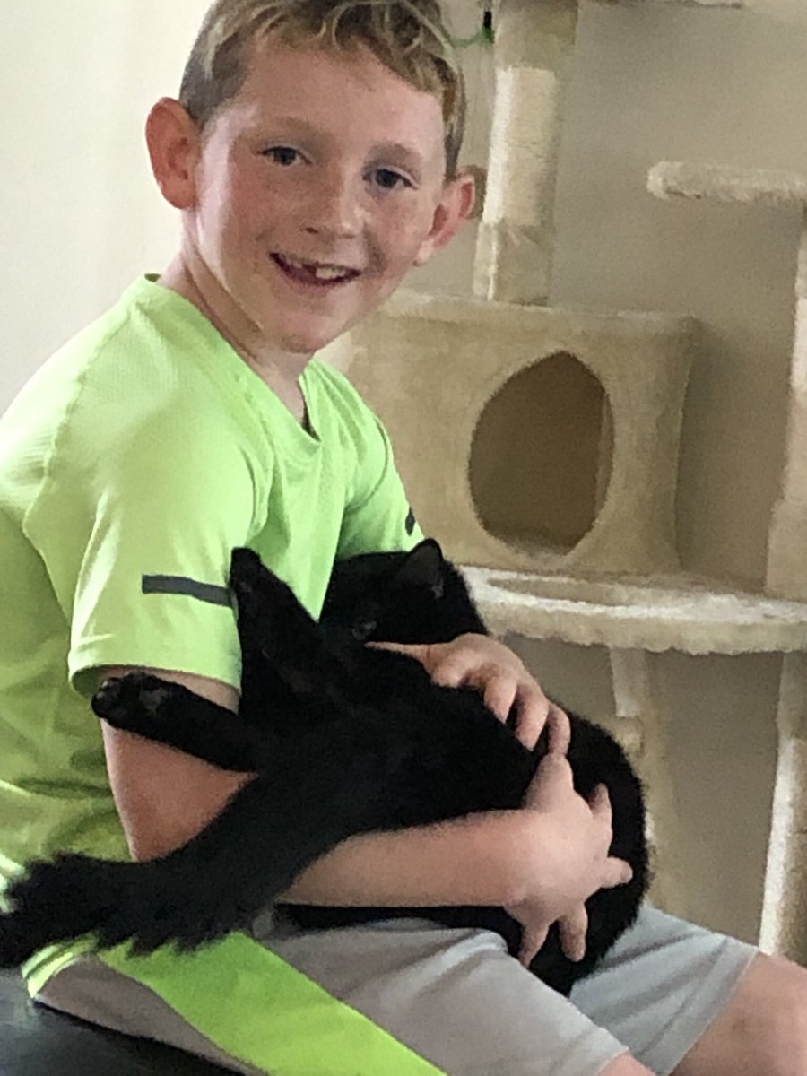 Matt Chernoff tweet media